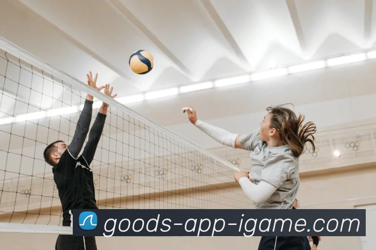 爱游戏APPAPP 封面图